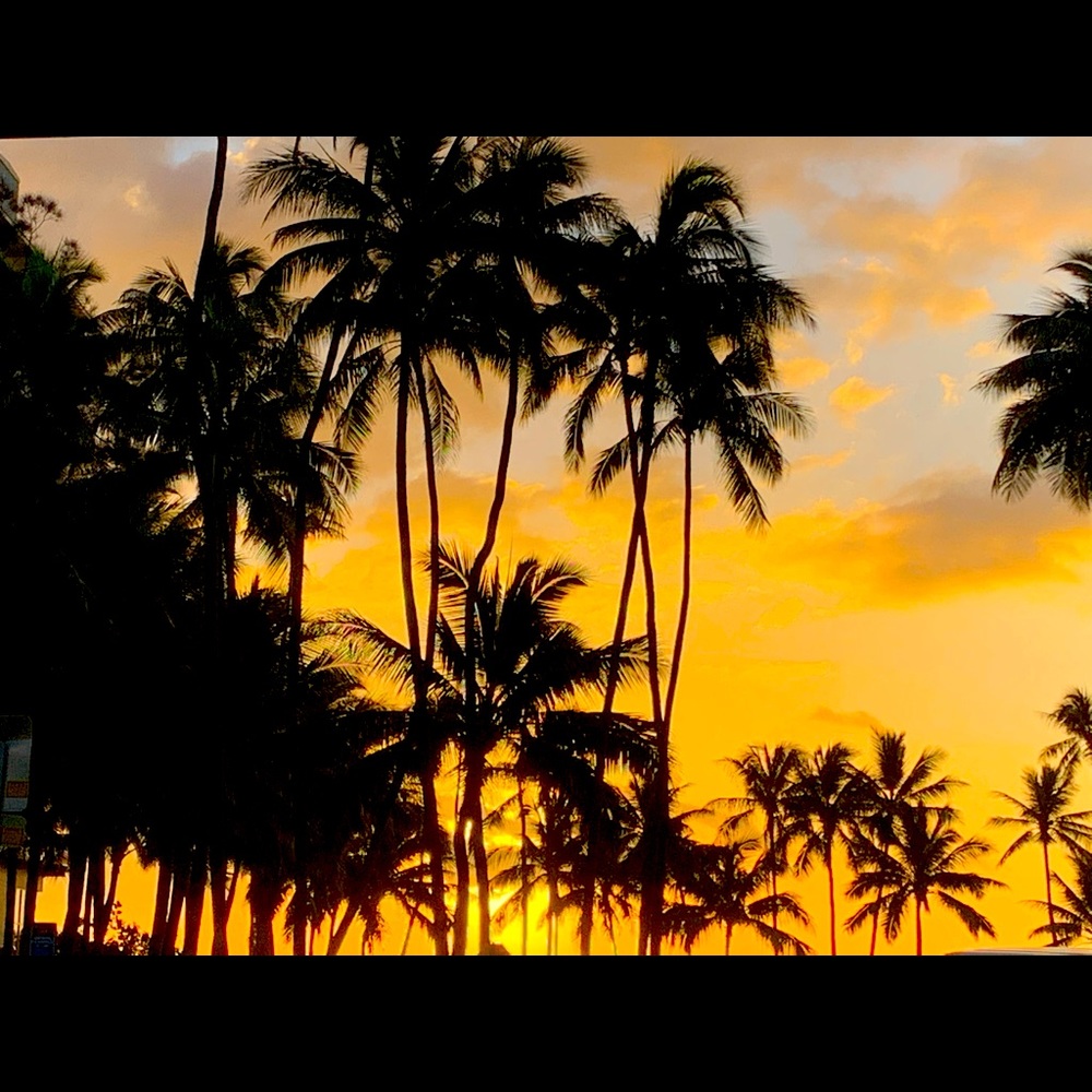 Meet your Posher, Jeanette